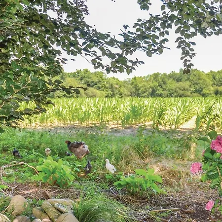 Lovely Home In Charritte De Bas With Wifi *